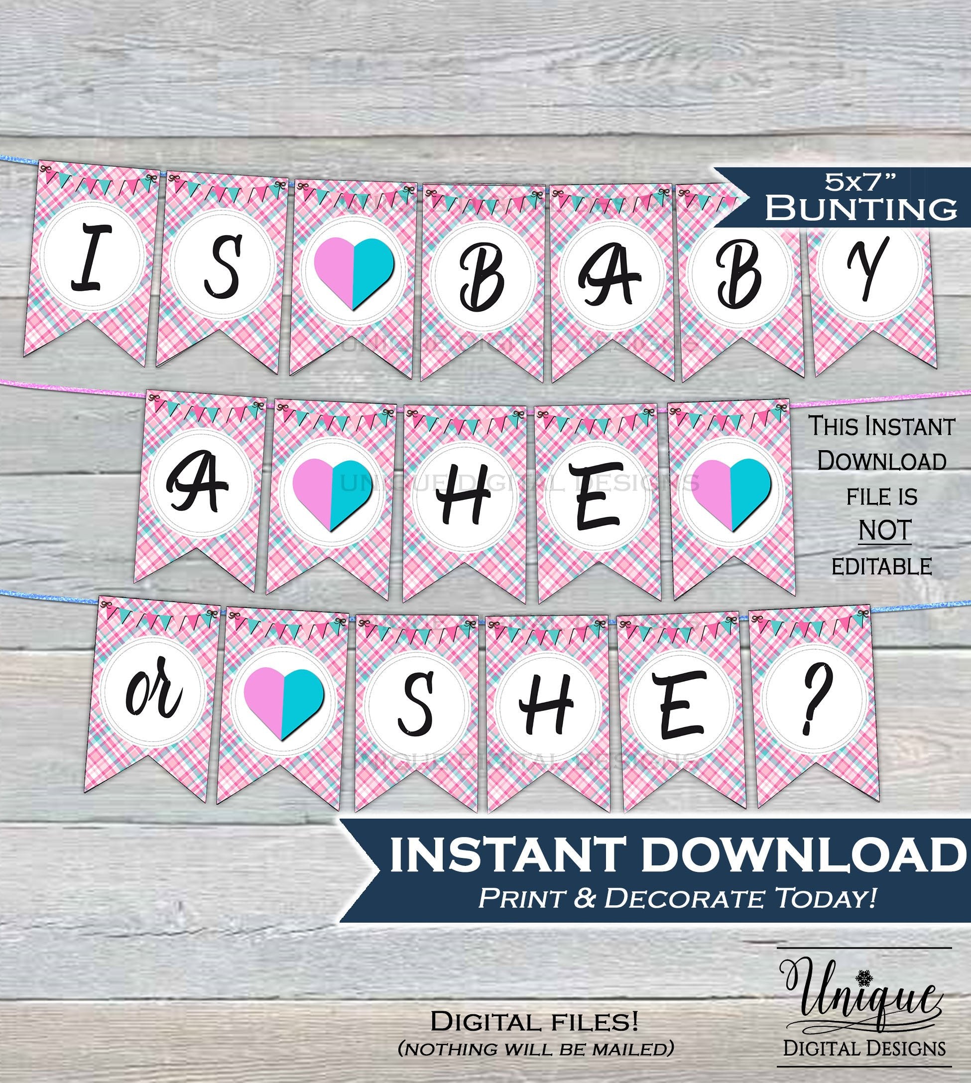 He or She Bunting Gender Reveal decoration Pink Blue Girl or Boy Flags he-or-she-bunting-gender-reveal-decoration-pink-blue-girl-or-boy-flags