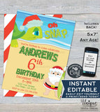 Oh Snap Turtles Birthday Invitation, Editable Christmas Birthday Invite, Summer Beach Birthday, ANY Age, Printable
