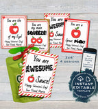 Applesauce Valentine Label Pouch Tag, Editable Valentine's Gifts for School Teacher, Personalized Digital Printable Custom