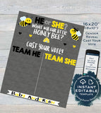 Honey Bee Gender Reveal, What will Baby Bee Editable Old Wives Tales & Cast Vote Signs, He or She Chalkboard, diy Printable