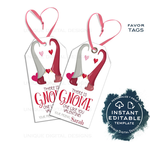 Editable Gnome Valentine's Gift Tags, Personalized Valentine Kids Gift Label, Gnome one like You