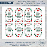 Editable Christmas Gift Tags, Merry Christmas Personalized Holiday Tags, Kids Elf Gift Labels Present Tag Printable Favor Tag INSTANT ACCESS